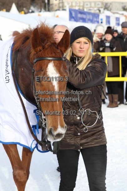 ET0Q1136.3 prot